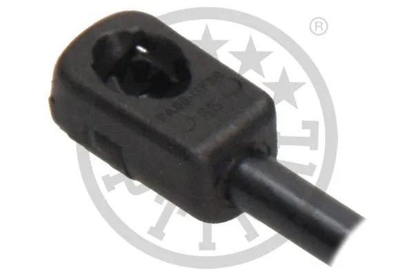 Gas Spring, boot/cargo area