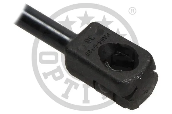 Gas Spring, boot/cargo area
