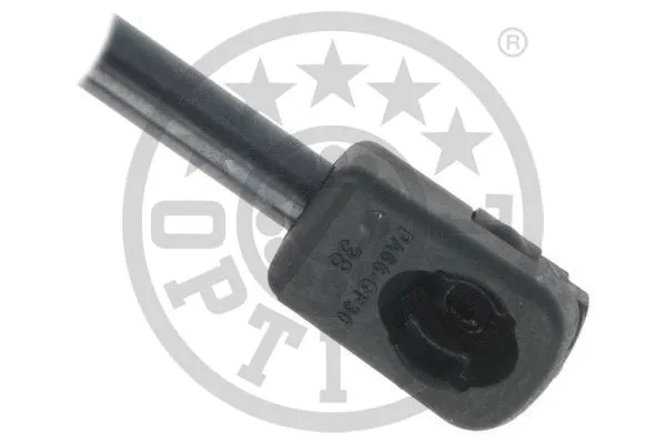 Gas Spring, boot/cargo area