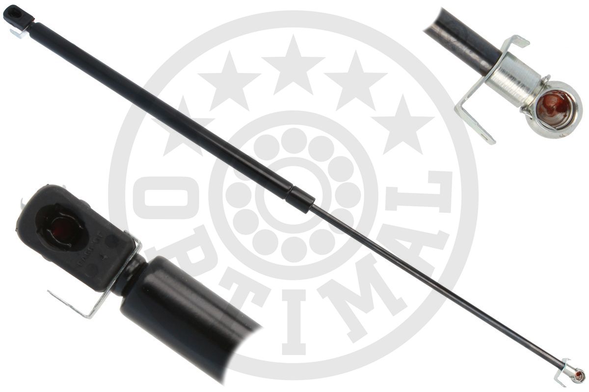 Gas Spring, boot/cargo area (AG-51828)