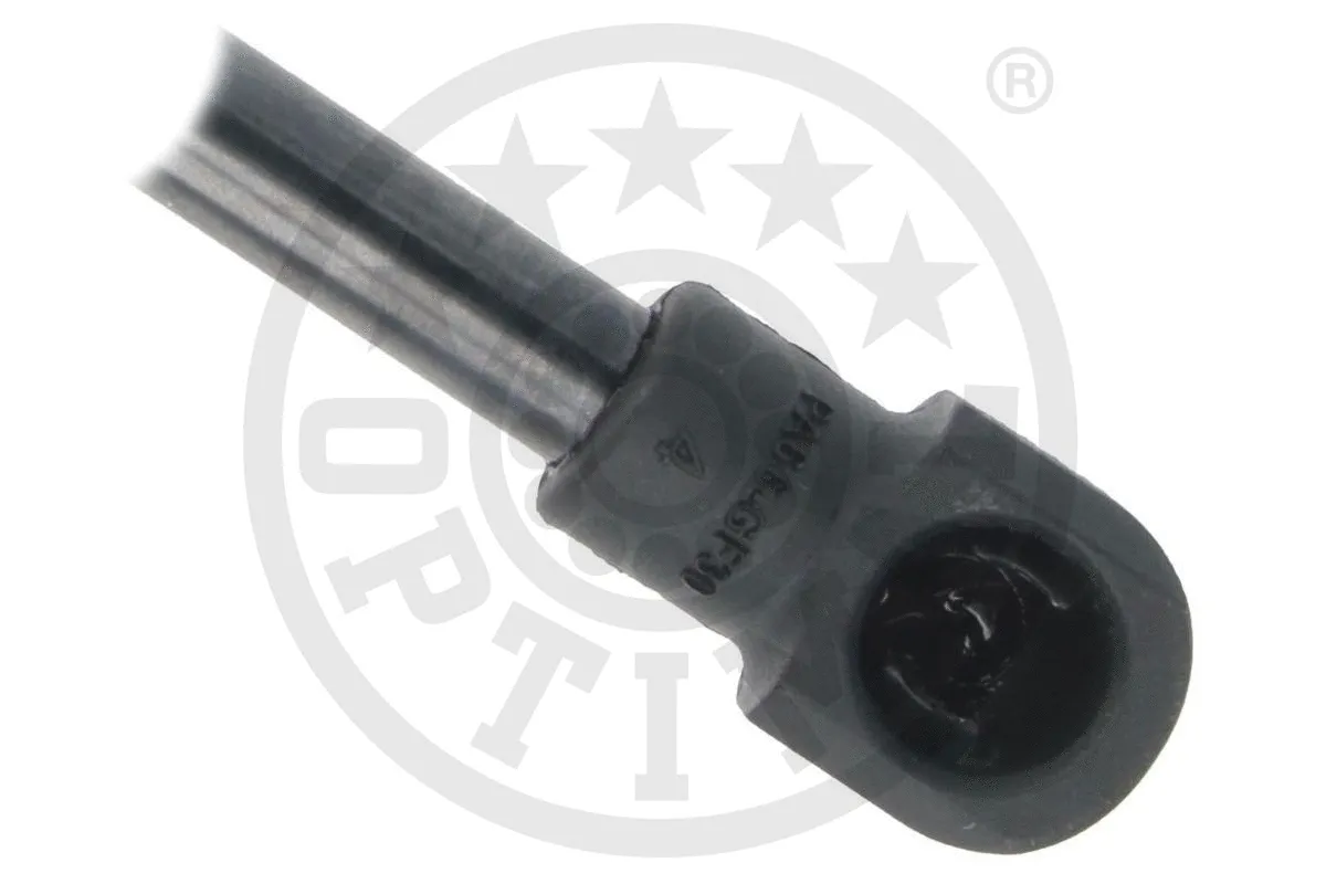 Gas Spring, boot/cargo area