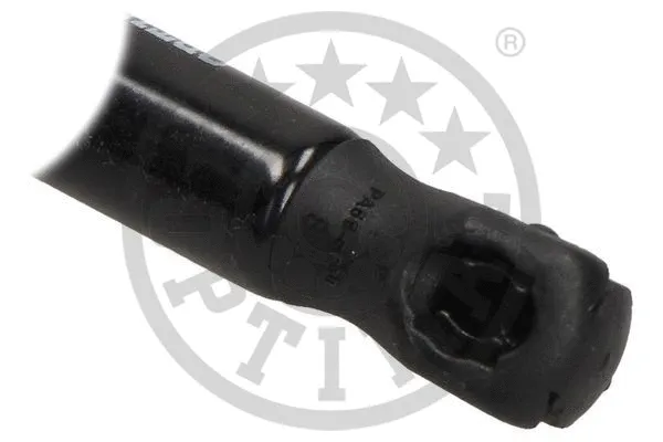 Gas Spring, boot/cargo area