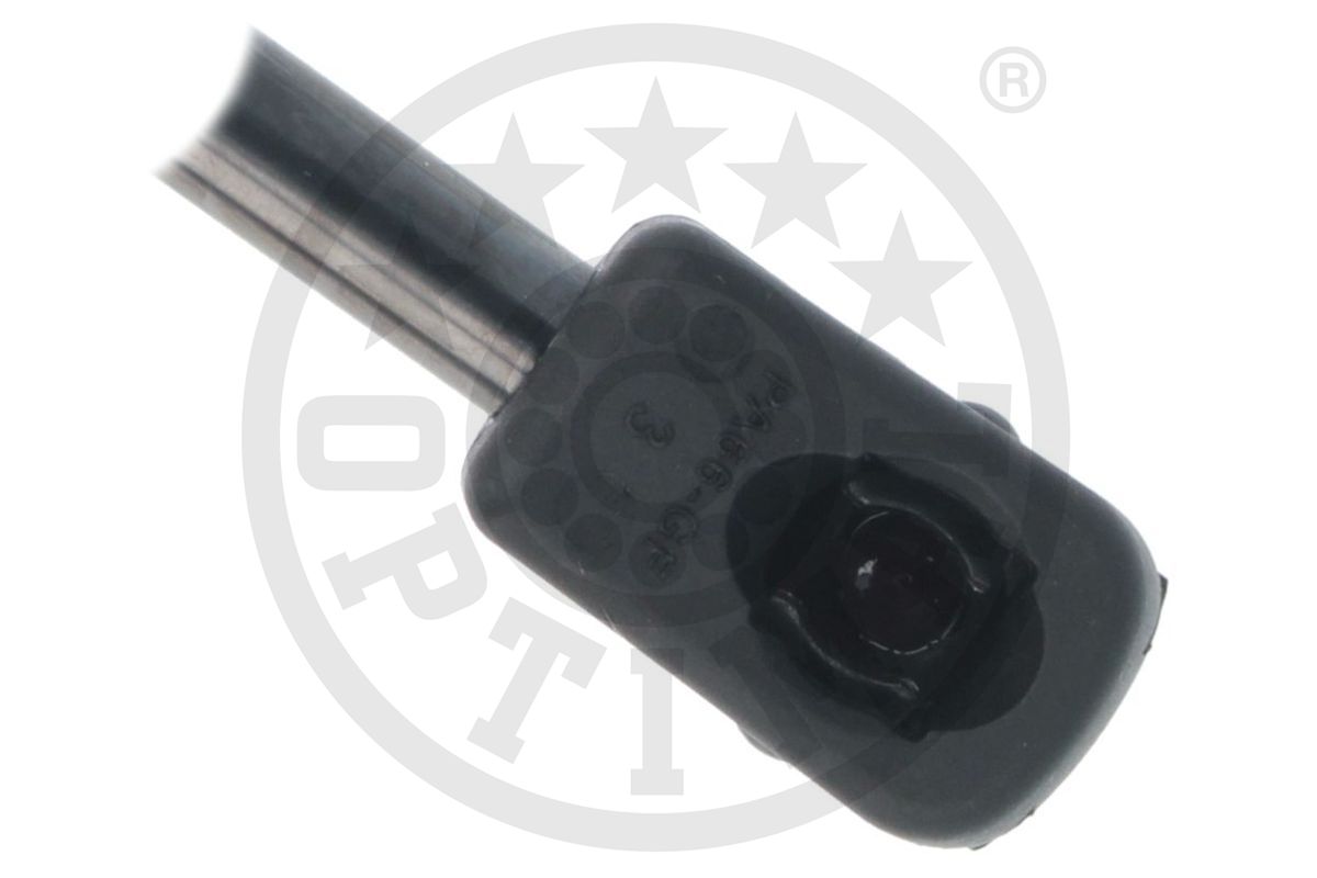 Gas Spring, boot/cargo area