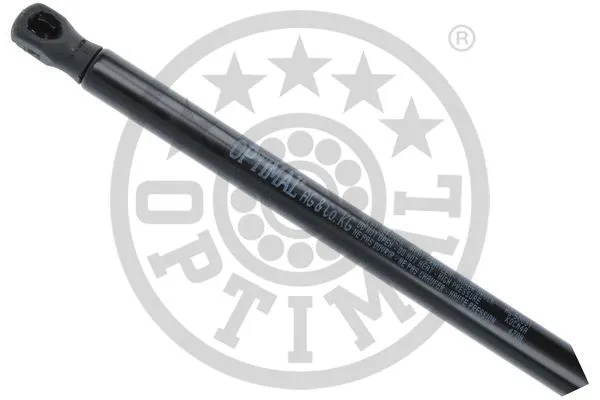 Gas Spring, boot/cargo area