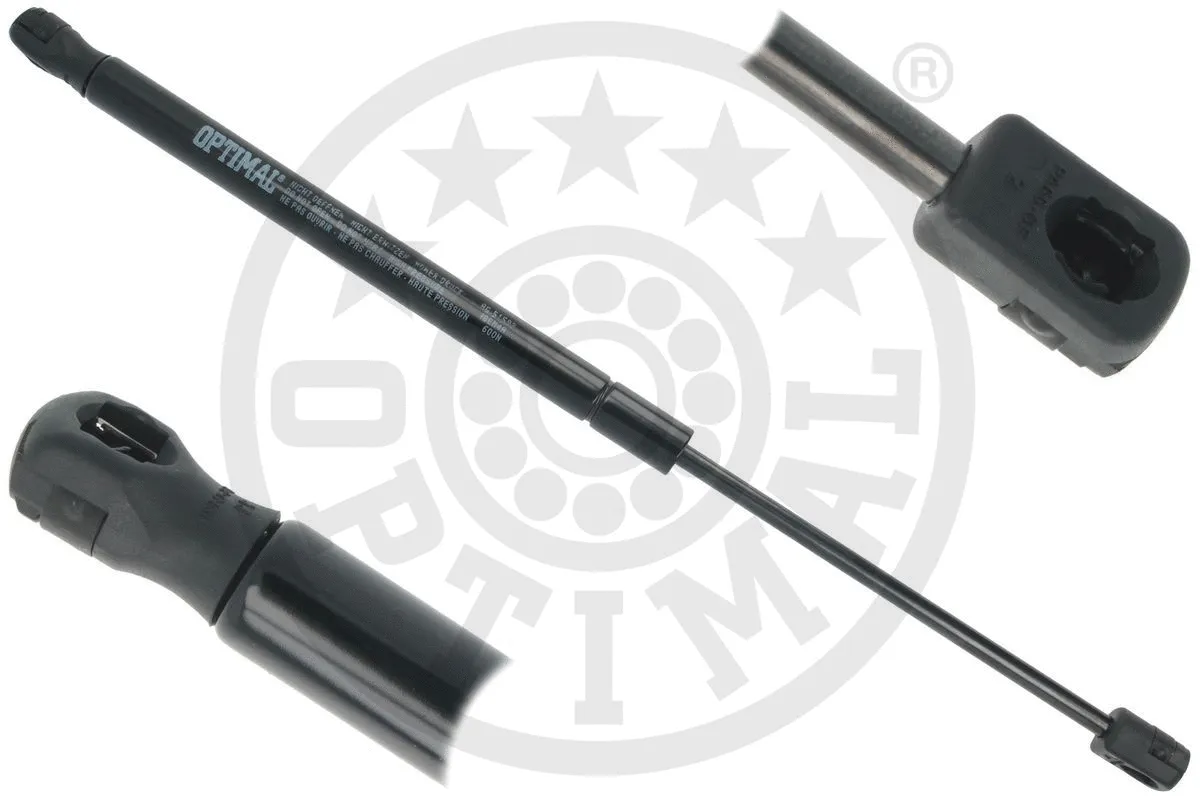 Gas Spring, boot/cargo area (AG-51592)