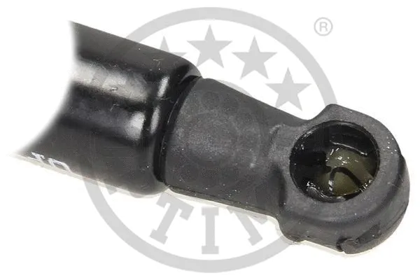 Gas Spring, boot/cargo area