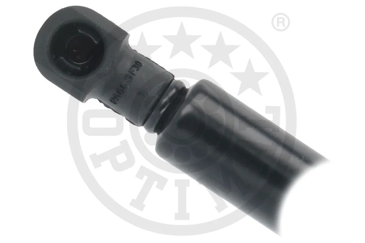 Gas Spring, boot/cargo area