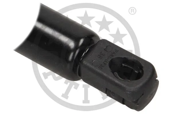 Gas Spring, boot/cargo area