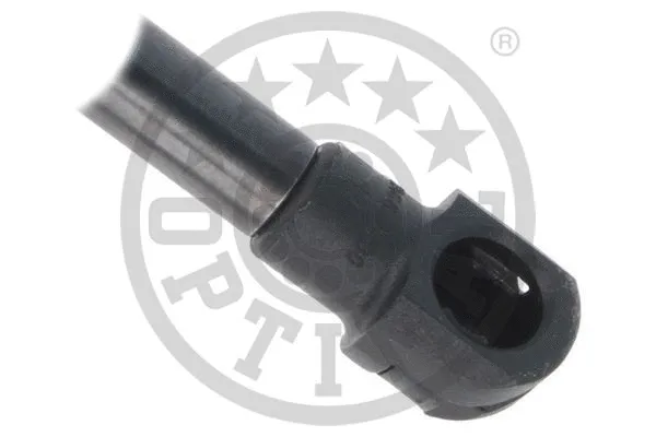 Gas Spring, boot/cargo area