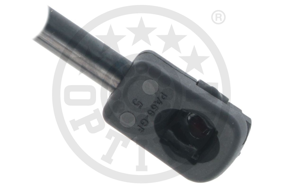 Gas Spring, boot/cargo area