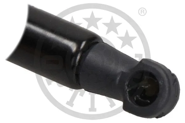 Gas Spring, boot/cargo area