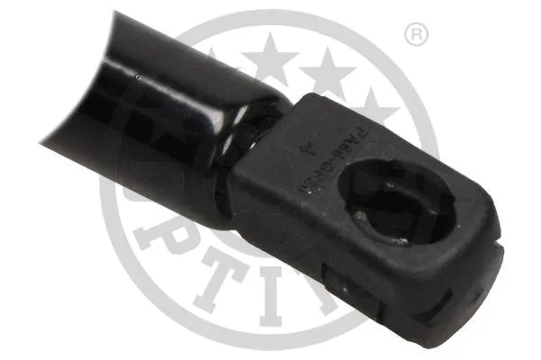 Gas Spring, boot/cargo area
