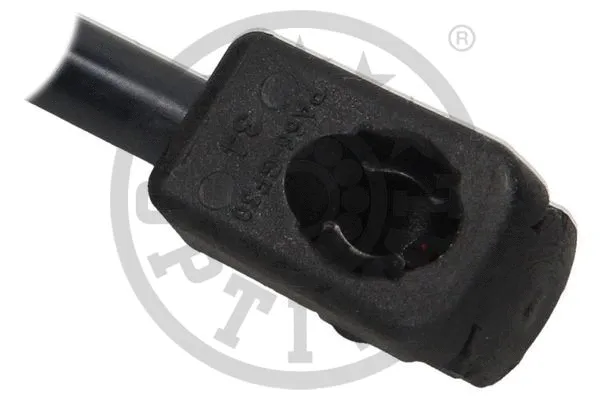 Gas Spring, boot/cargo area