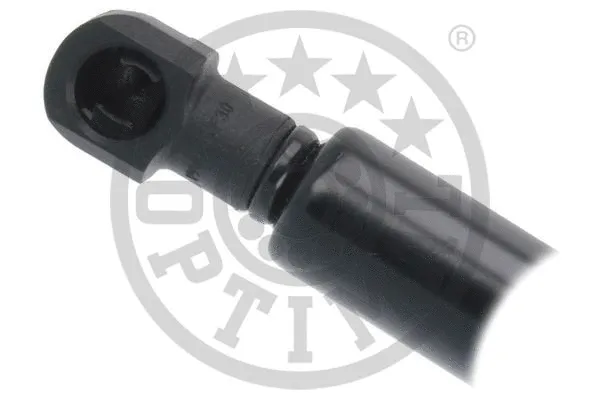 Gas Spring, boot/cargo area