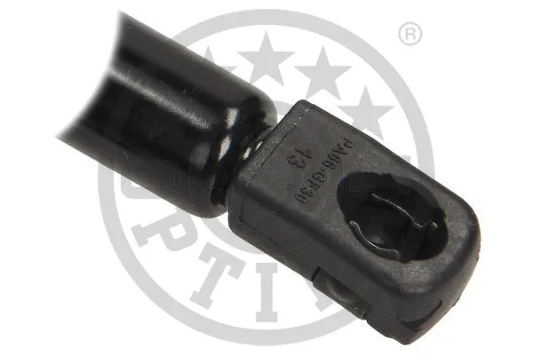 Gas Spring, boot/cargo area