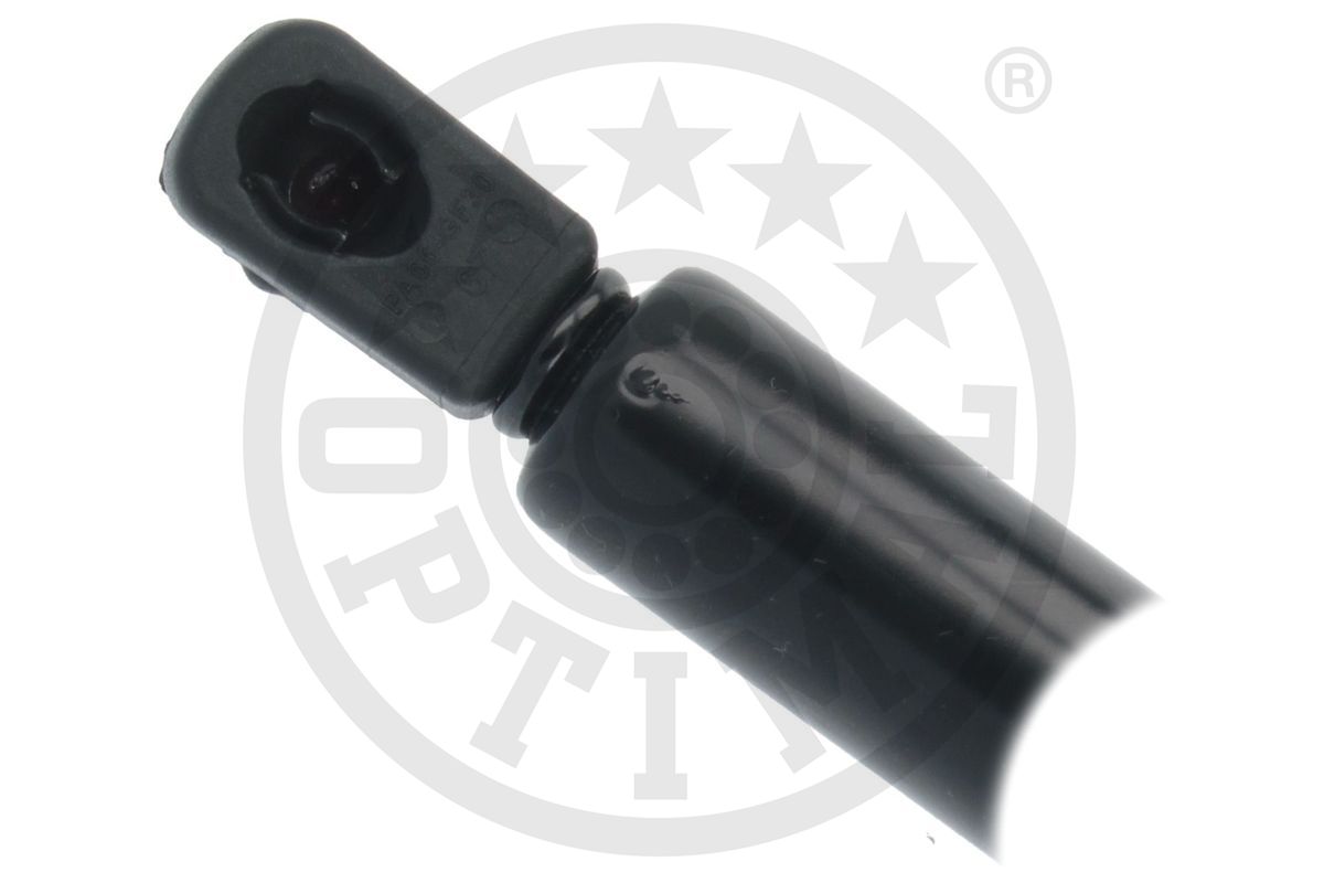 Gas Spring, boot/cargo area