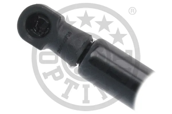 Gas Spring, boot/cargo area