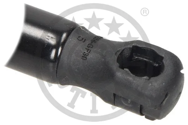 Gas Spring, boot/cargo area