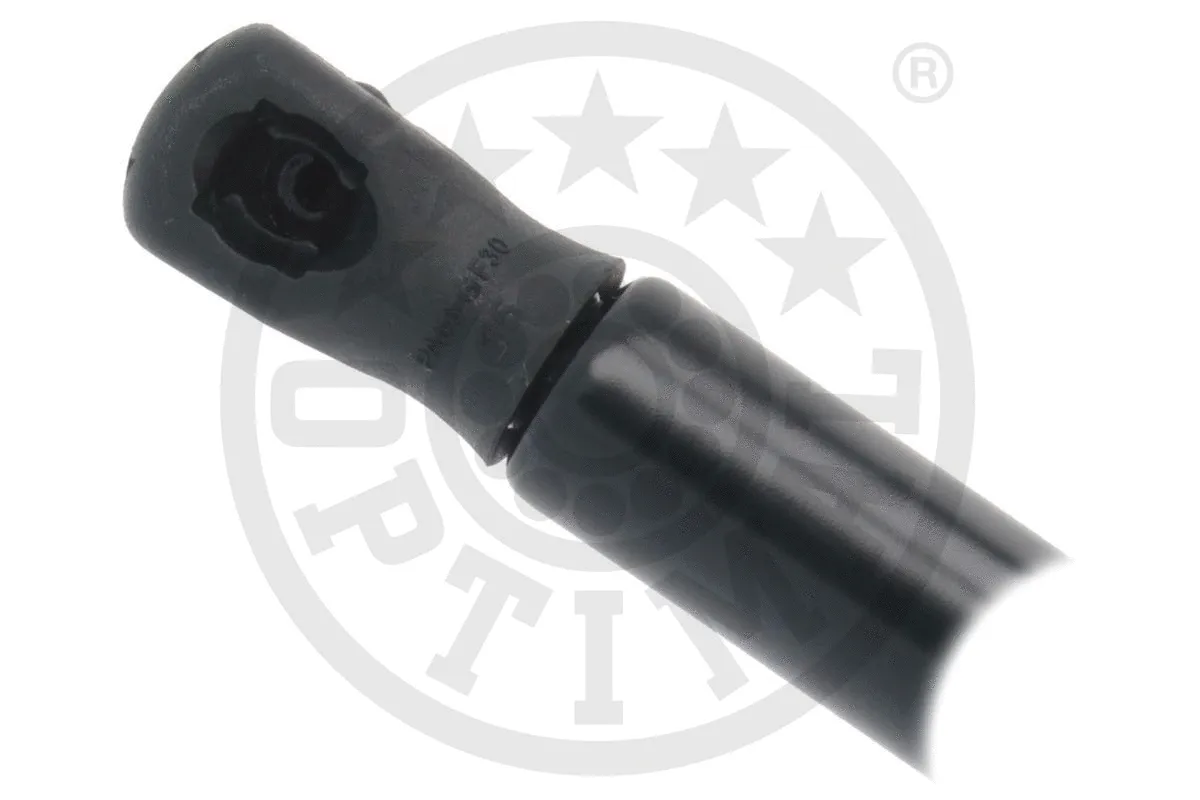 Gas Spring, boot/cargo area