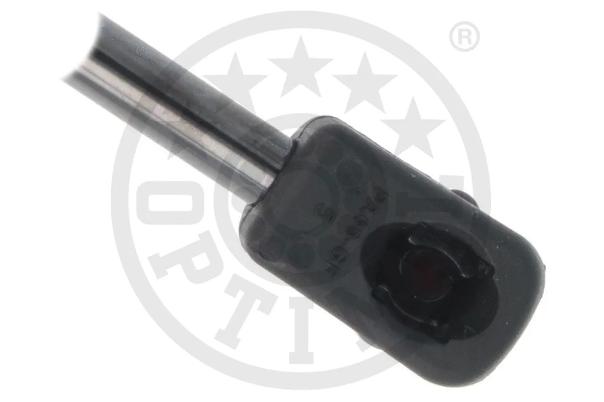 Gas Spring, boot/cargo area