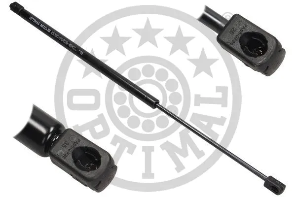 Gas Spring, boot/cargo area (AG-40144)