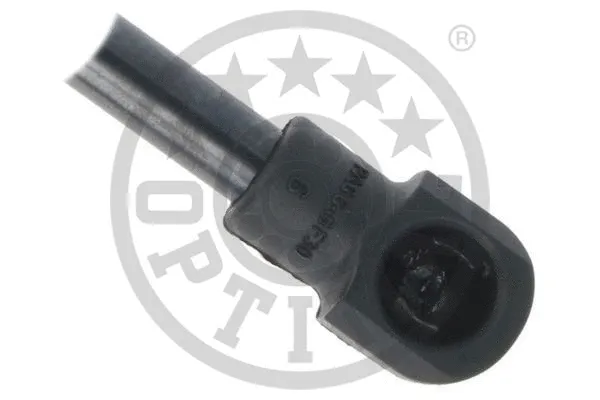 Gas Spring, boot/cargo area