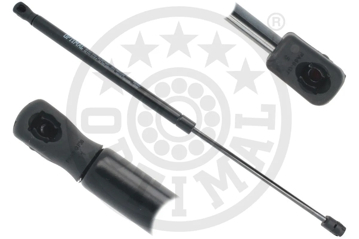 Gas Spring, boot/cargo area (AG-50893)