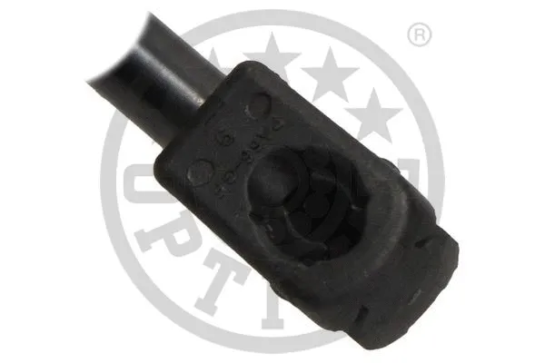 Gas Spring, boot/cargo area