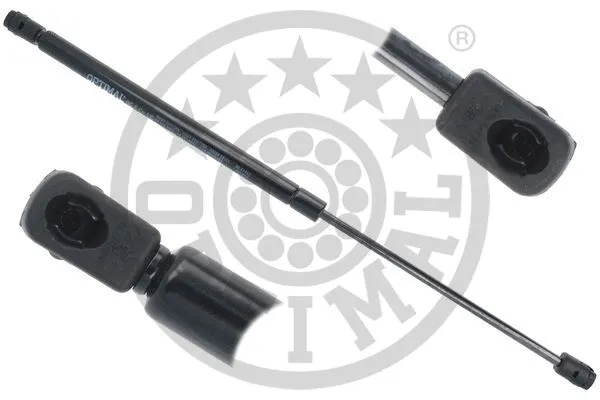 Gas Spring, boot/cargo area (AG-51963)