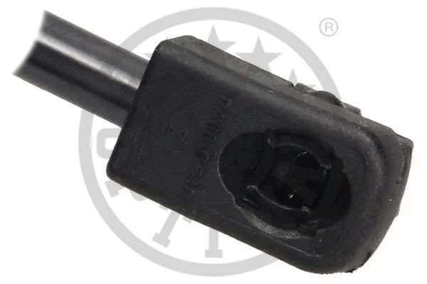 Gas Spring, boot/cargo area