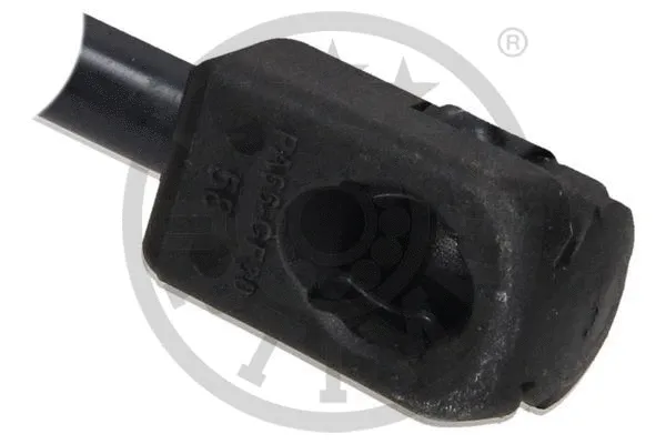 Gas Spring, boot/cargo area