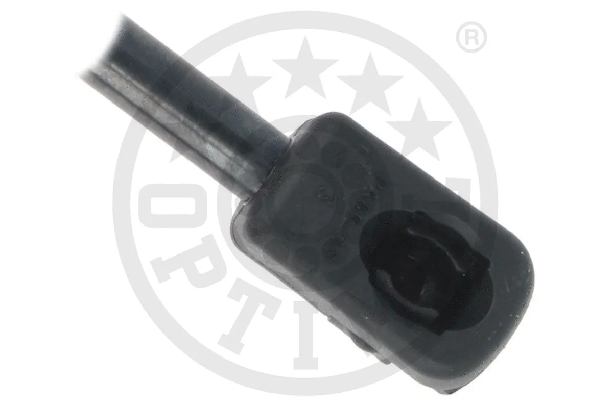 Gas Spring, boot/cargo area