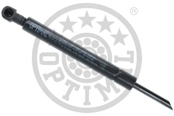 Gas Spring, boot/cargo area