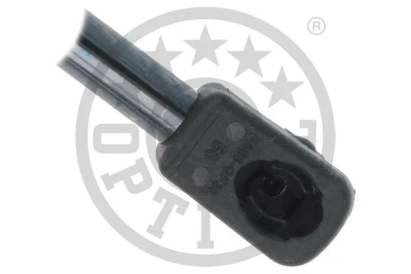 Gas Spring, boot/cargo area