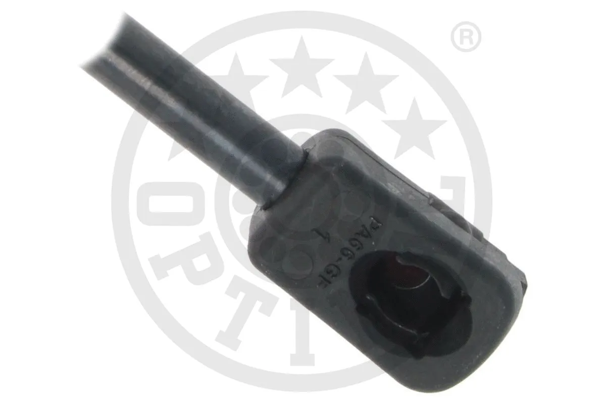 Gas Spring, boot/cargo area