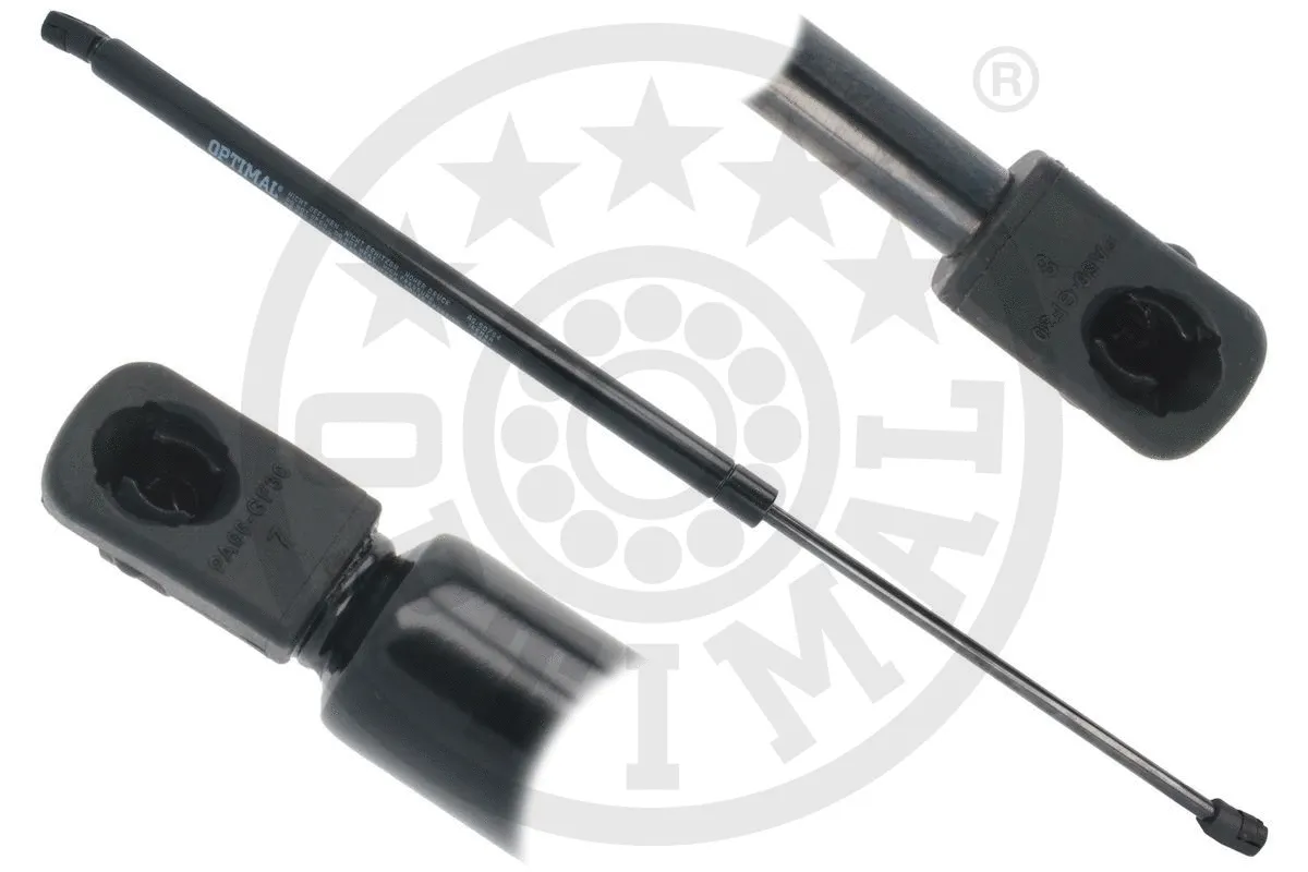 Gas Spring, boot/cargo area (AG-50784)