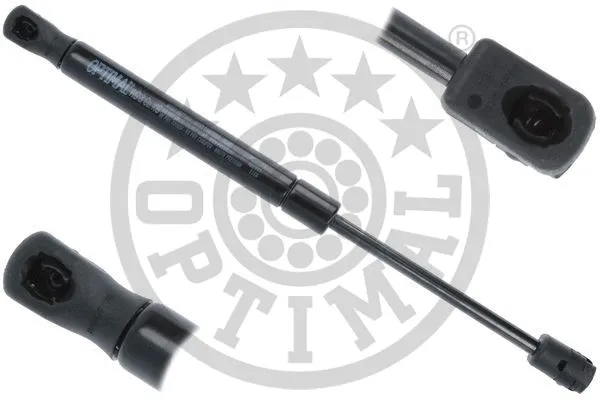 Gas Spring, boot/cargo area (AG-51258)