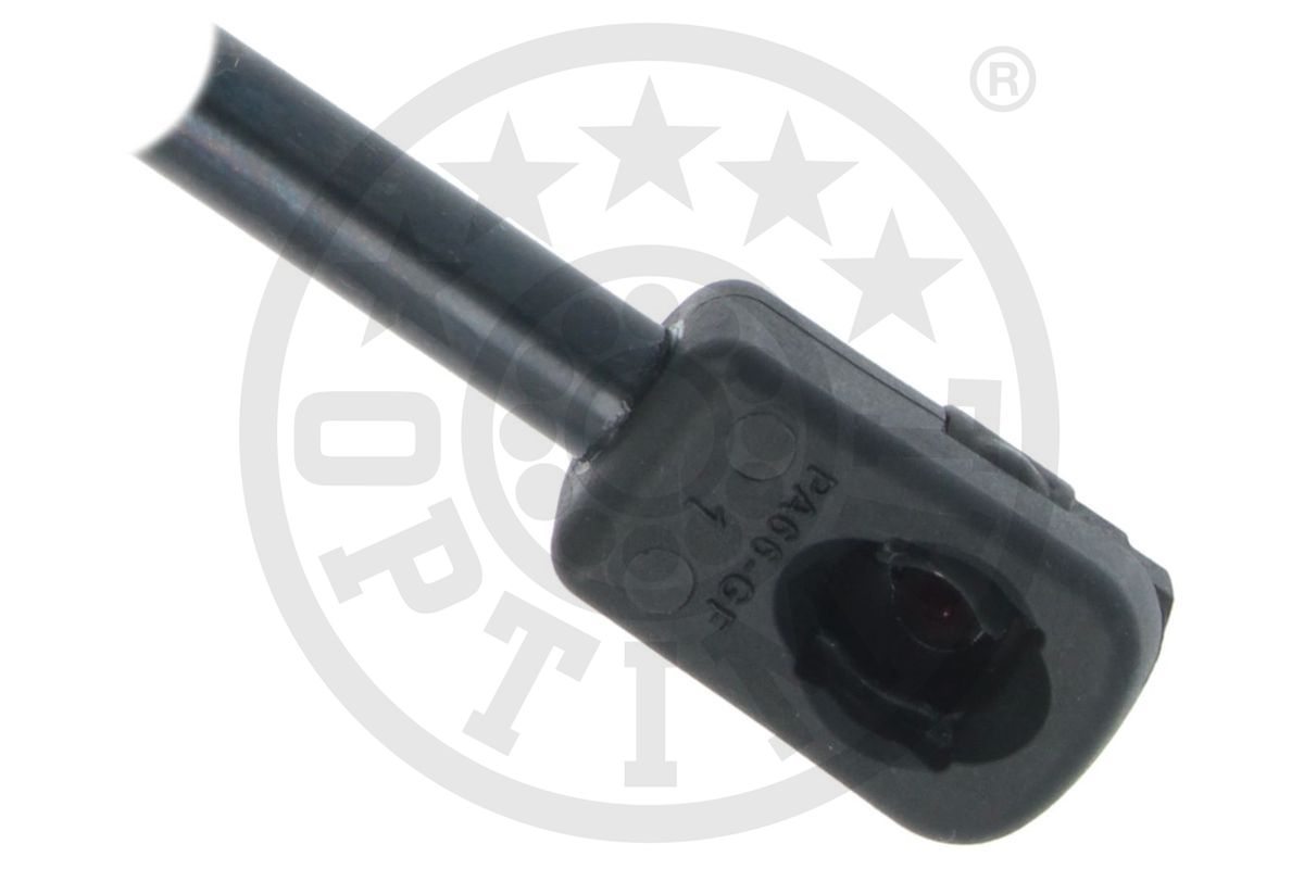 Gas Spring, boot/cargo area