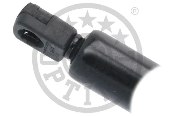 Gas Spring, boot/cargo area