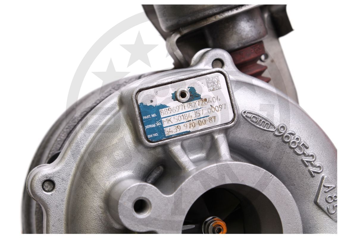 Charger, charging (supercharged/turbocharged)