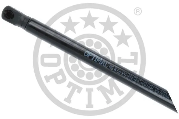 Gas Spring, boot/cargo area