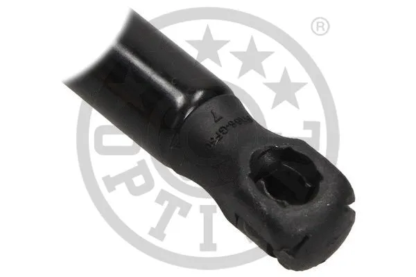 Gas Spring, boot/cargo area