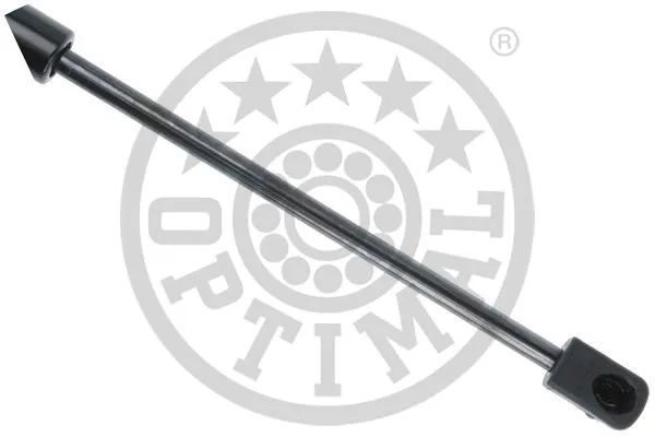 Gas Spring, boot/cargo area