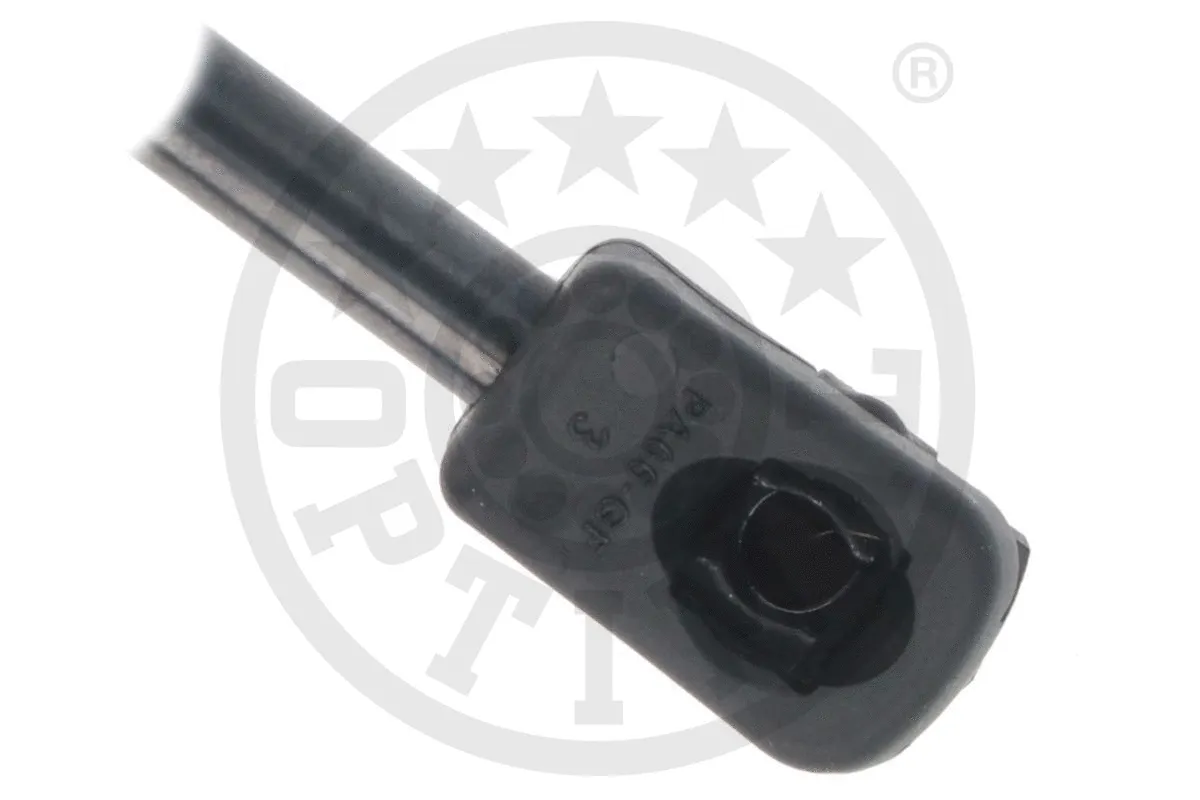 Gas Spring, boot/cargo area