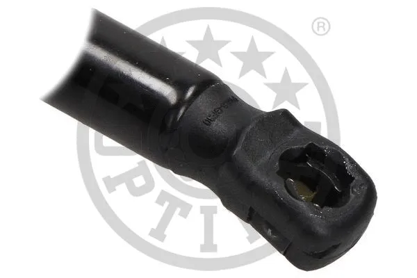 Gas Spring, boot/cargo area