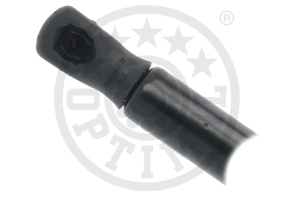 Gas Spring, boot/cargo area