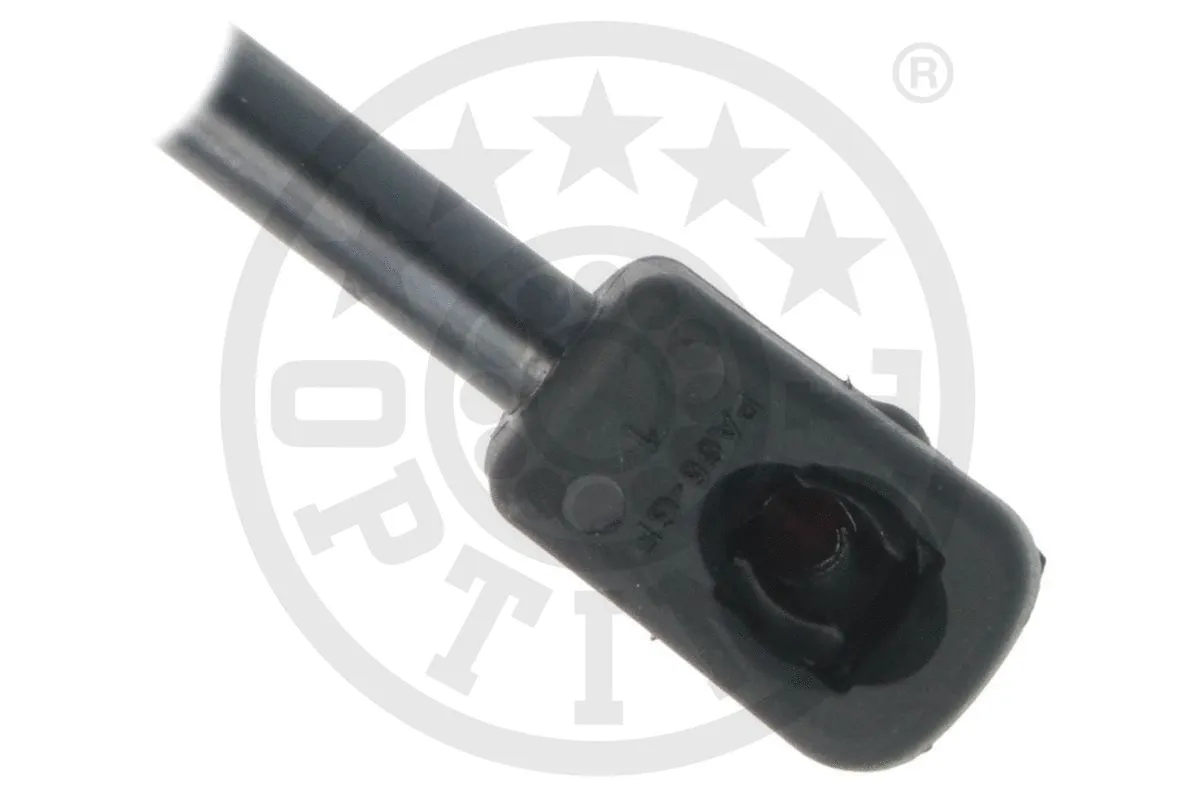 Gas Spring, boot/cargo area