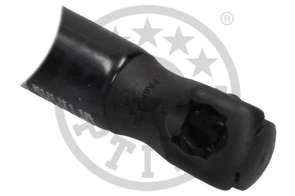 Gas Spring, boot/cargo area