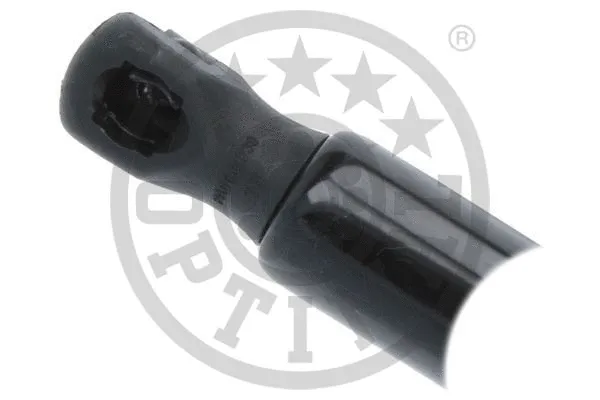 Gas Spring, boot/cargo area