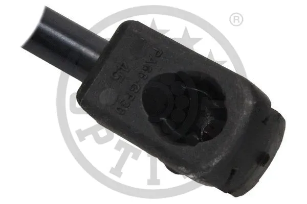 Gas Spring, boot/cargo area